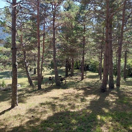 Saint-Auban  Petit Studio Dans La Prairie מראה חיצוני תמונה