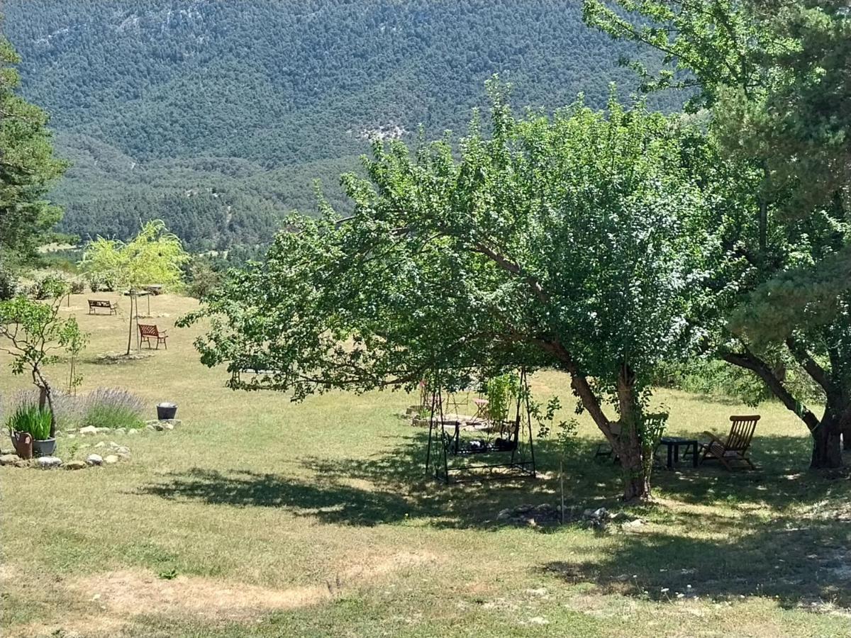Saint-Auban  Petit Studio Dans La Prairie מראה חיצוני תמונה