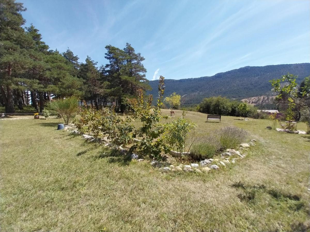 Saint-Auban  Petit Studio Dans La Prairie מראה חיצוני תמונה