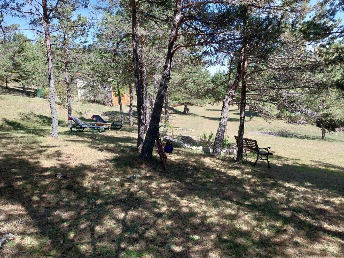 Saint-Auban  Petit Studio Dans La Prairie מראה חיצוני תמונה